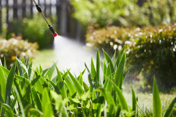 24/7 Emergency Mosquito Control experts in Eastmont, WA